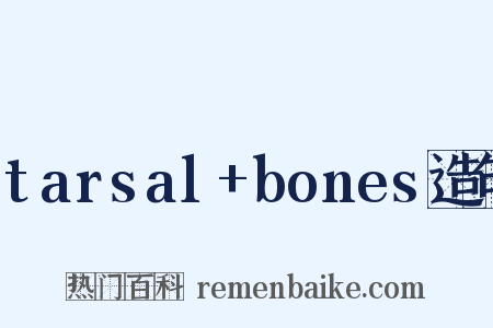 tarsal+bones造句是什么意思的图片